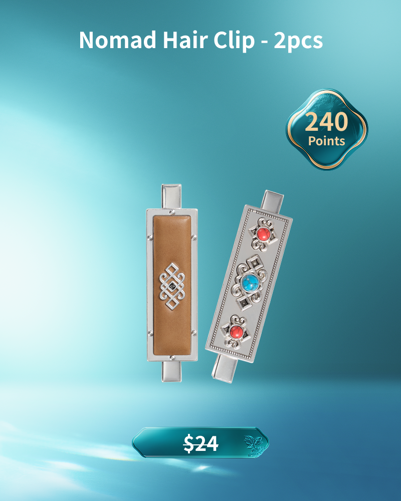 【Member's Only】Nomad Hair Clip - 2pcs