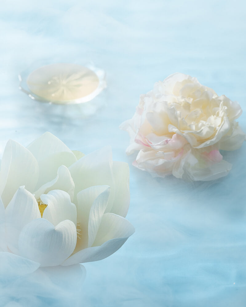 Florasis Twin-Lotus Relief Luminous Glow Highlighter