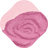 10 Rose Enjouée