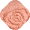 11 Autumnal Rose